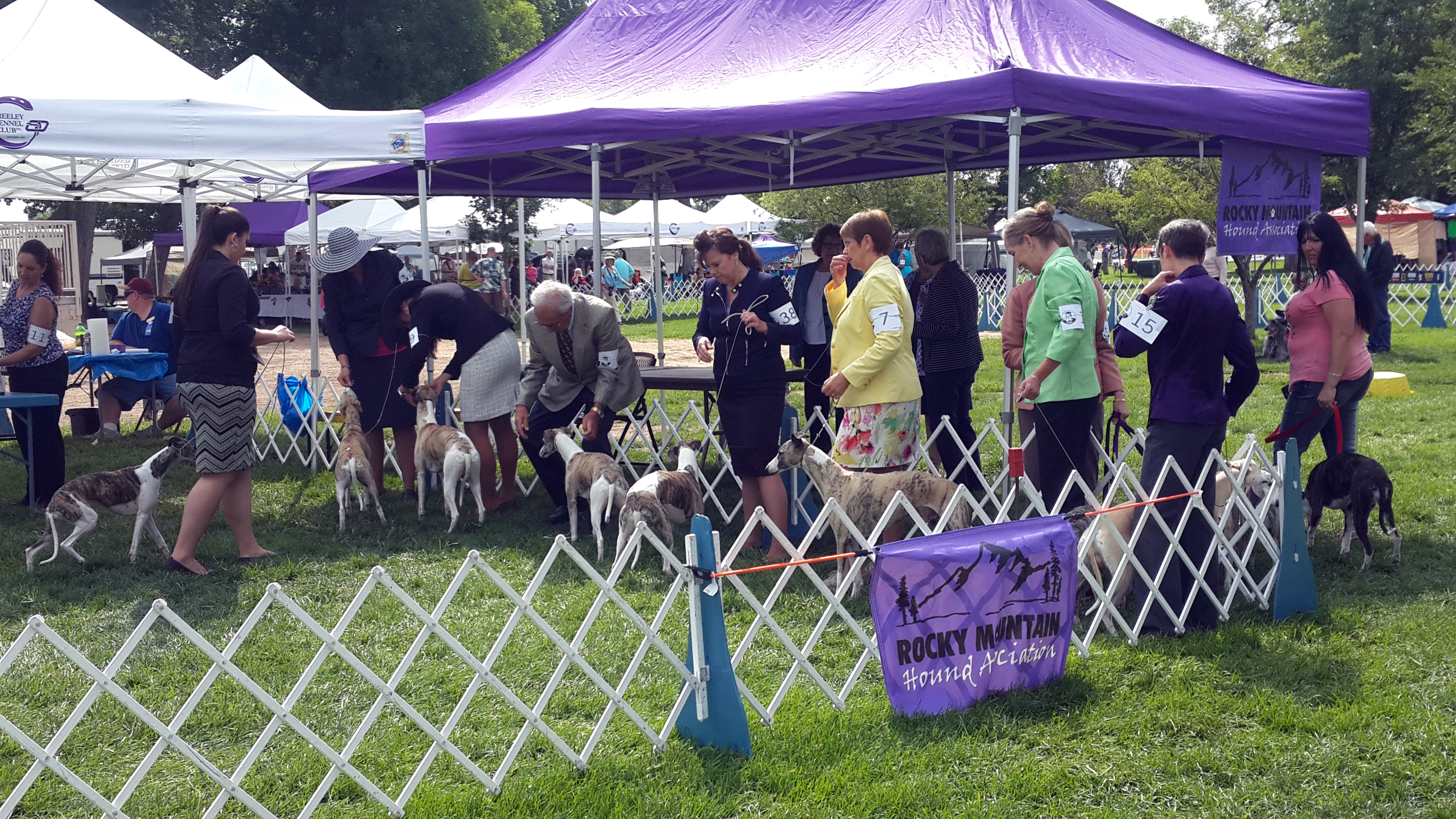 RMHA Dog Show Event showcasing Whippets